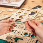 3D Wooden Puzzle Toy